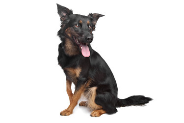 Similar image 1470310