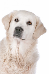 Similar image 1470320