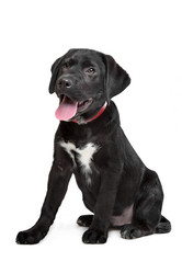 Similar image 1470328