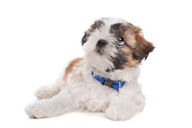 Similar image 1470355