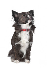 Similar image 1470357