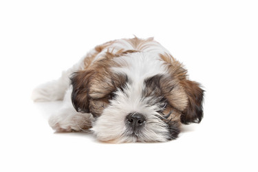 Similar image 1470358