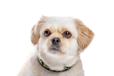 Similar image 1470366