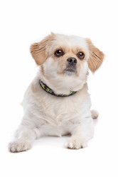 Similar image 1470370