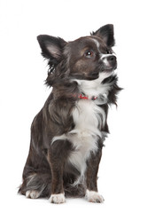 Similar image 1470389