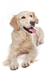 Similar image 1470392