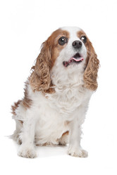 Similar image 1470403