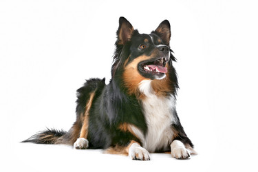 Similar image 1470412