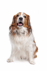 Similar image 1470415