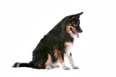 Similar image 1470416