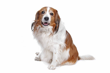 Similar image 1470418