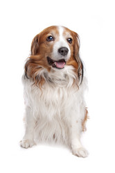 Similar image 1470424