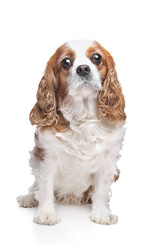 Similar image 1470425