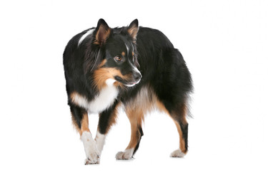 Similar image 1470429