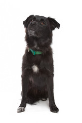 Similar image 1470469