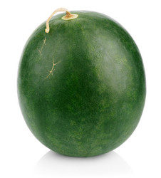 Similar image 1470474