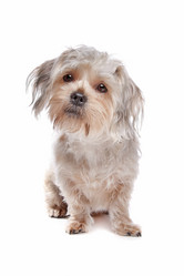 Similar image 1470485