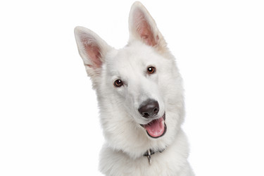 Similar image 1470497