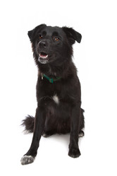 Similar image 1470507