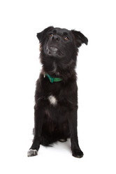 Similar image 1470509