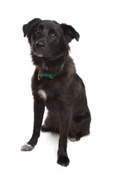 Similar image 1470512