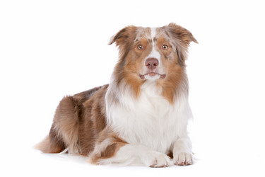 Similar image 1470534