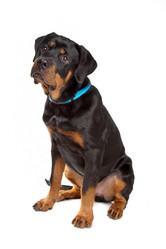 Similar image 1470535