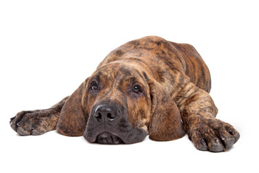 Similar image 1470565