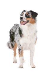 Similar image 1470592