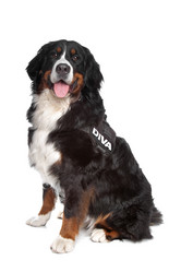 Similar image 1470601