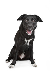 Similar image 1470604