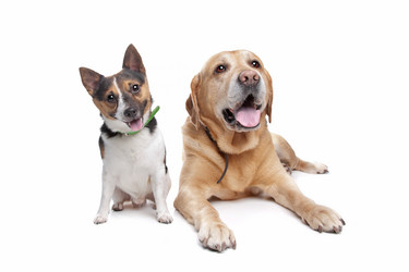 Similar image 1470605