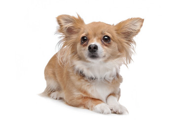 Similar image 1470613