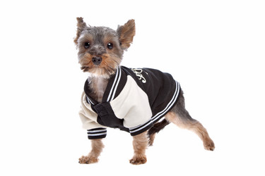 Similar image 1470640