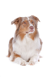 Similar image 1470641