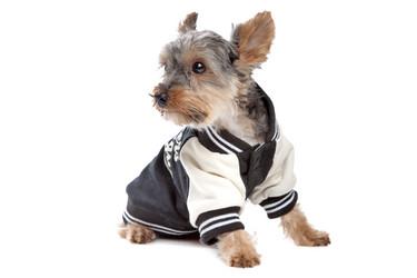 Similar image 1470643