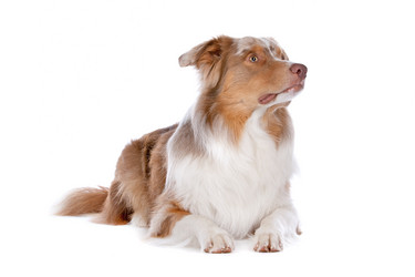 Similar image 1470651