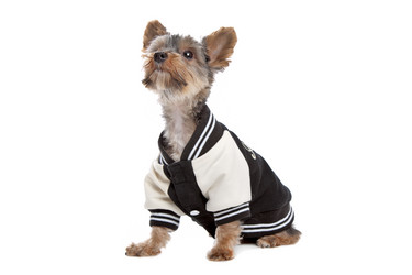 Similar image 1470657