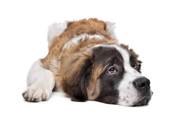 Similar image 1470666