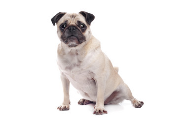 Similar image 1470668