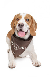 Similar image 1470678