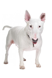 Similar image 1470696