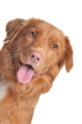 Similar image 1470708