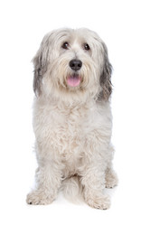 Similar image 1470716