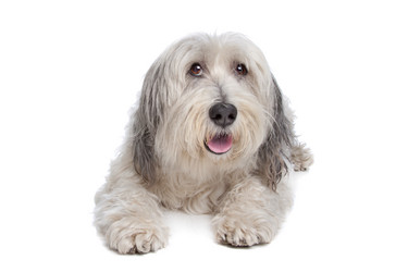 Similar image 1470717