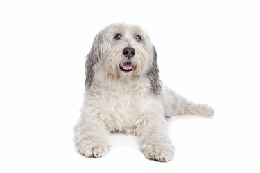 Similar image 1470724