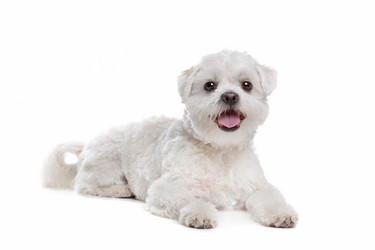 Similar image 1470728