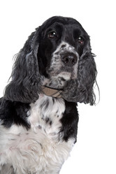 Similar image 1470740