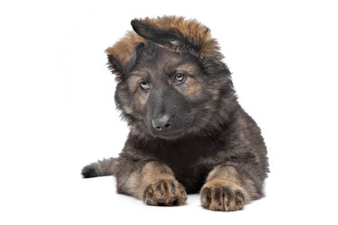 Similar image 1470742