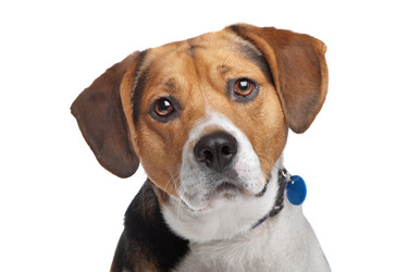 Similar image 1470745